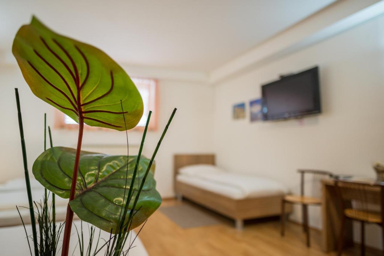 Guest House Mlada Lipa Maribor Exterior photo